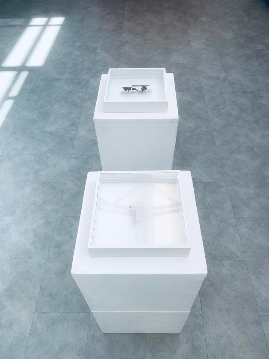 Lieve Smets. Lace as a concept. 2022. Coton, iron, leather, leaf. 0,3m x 0,3m x 0,06m/piece